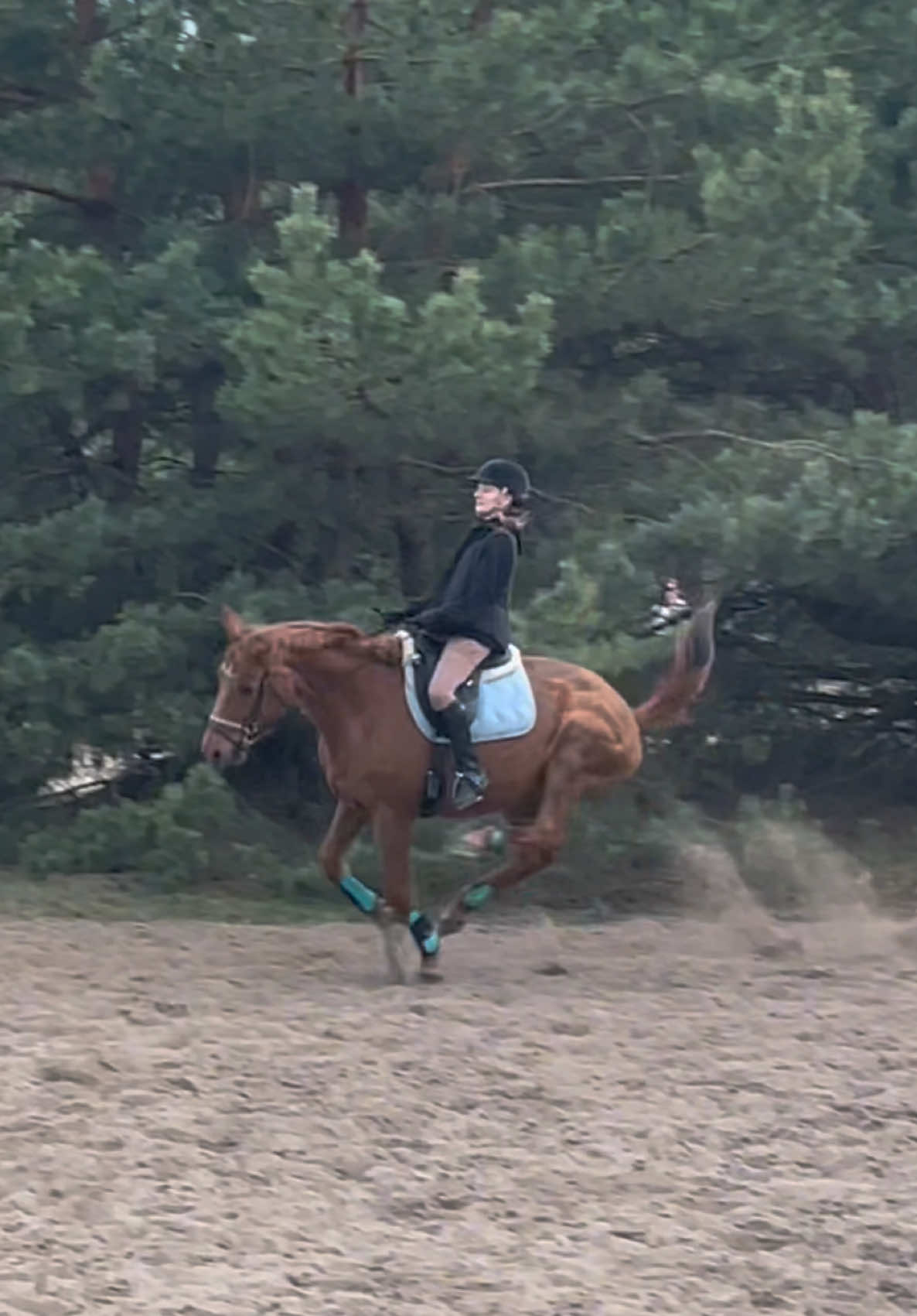 @“KK”Golden Horse