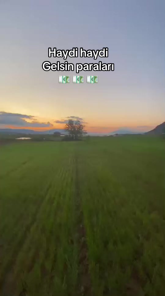 @Teslime AFŞAR