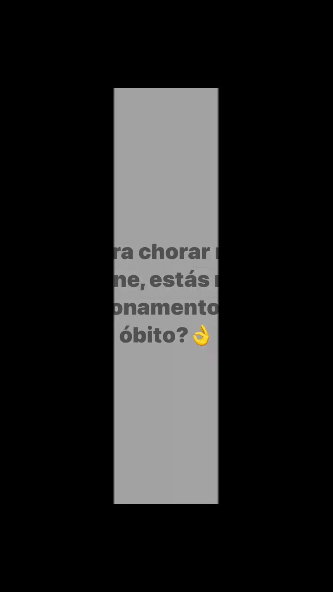 @Mr Ratos Oficial