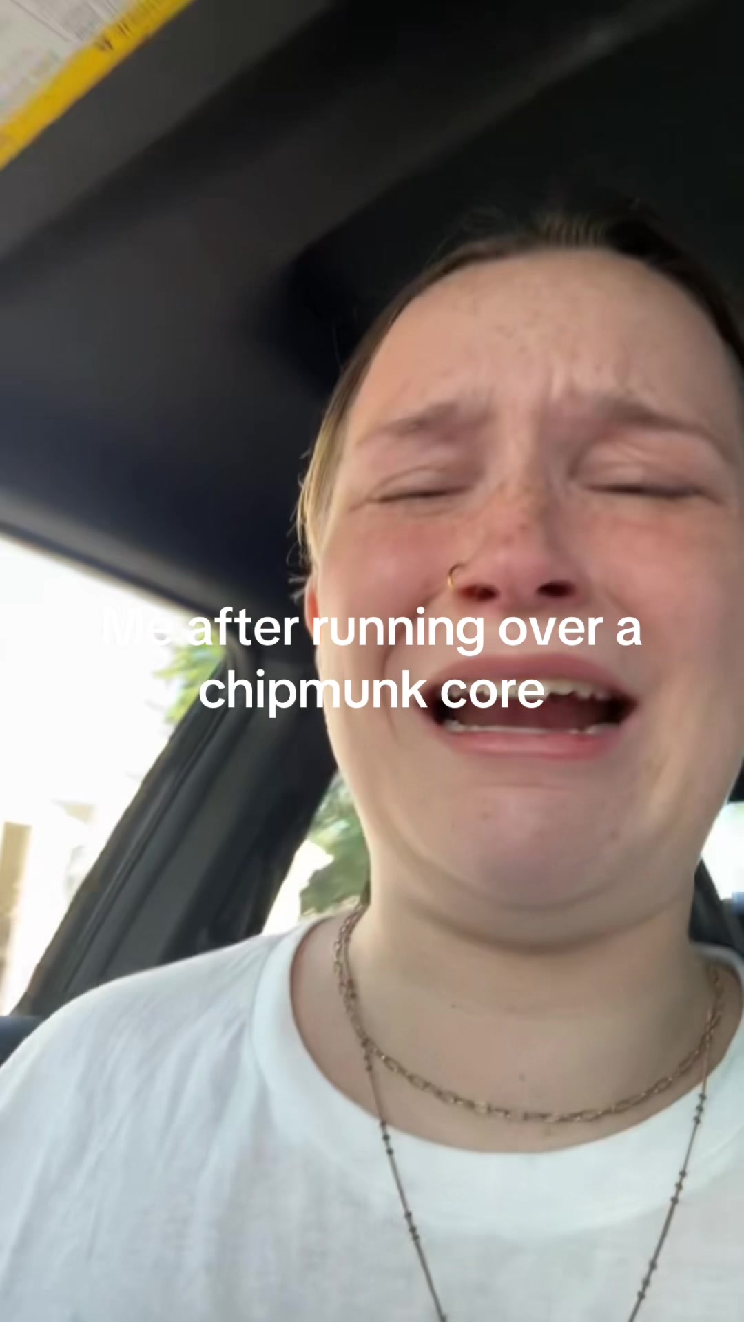 @bellacatania