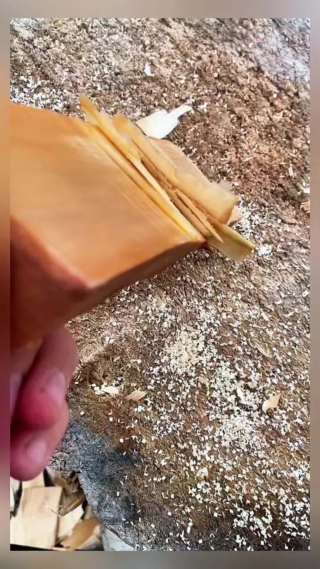 @Fact telugu