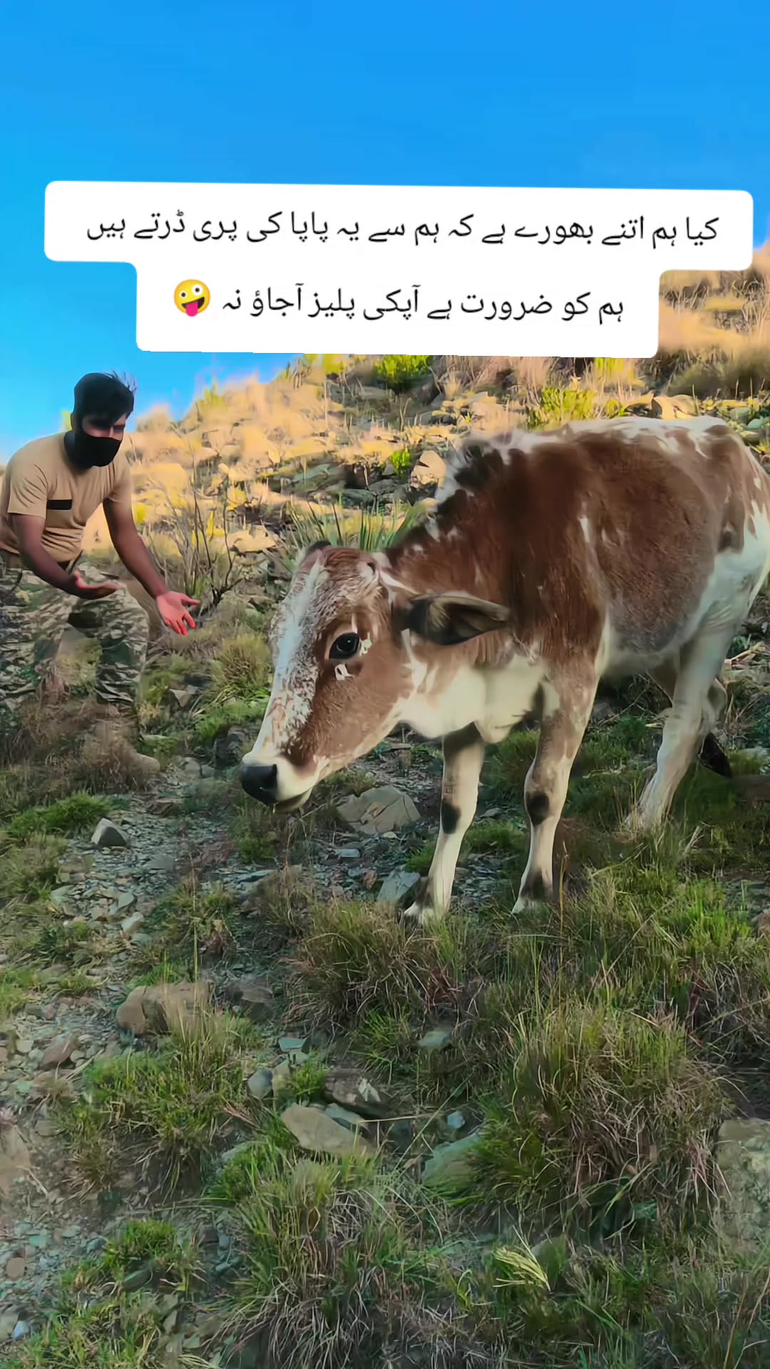 @%ʄօʝɨɮօʏ%🇵🇰🇵🇰😎