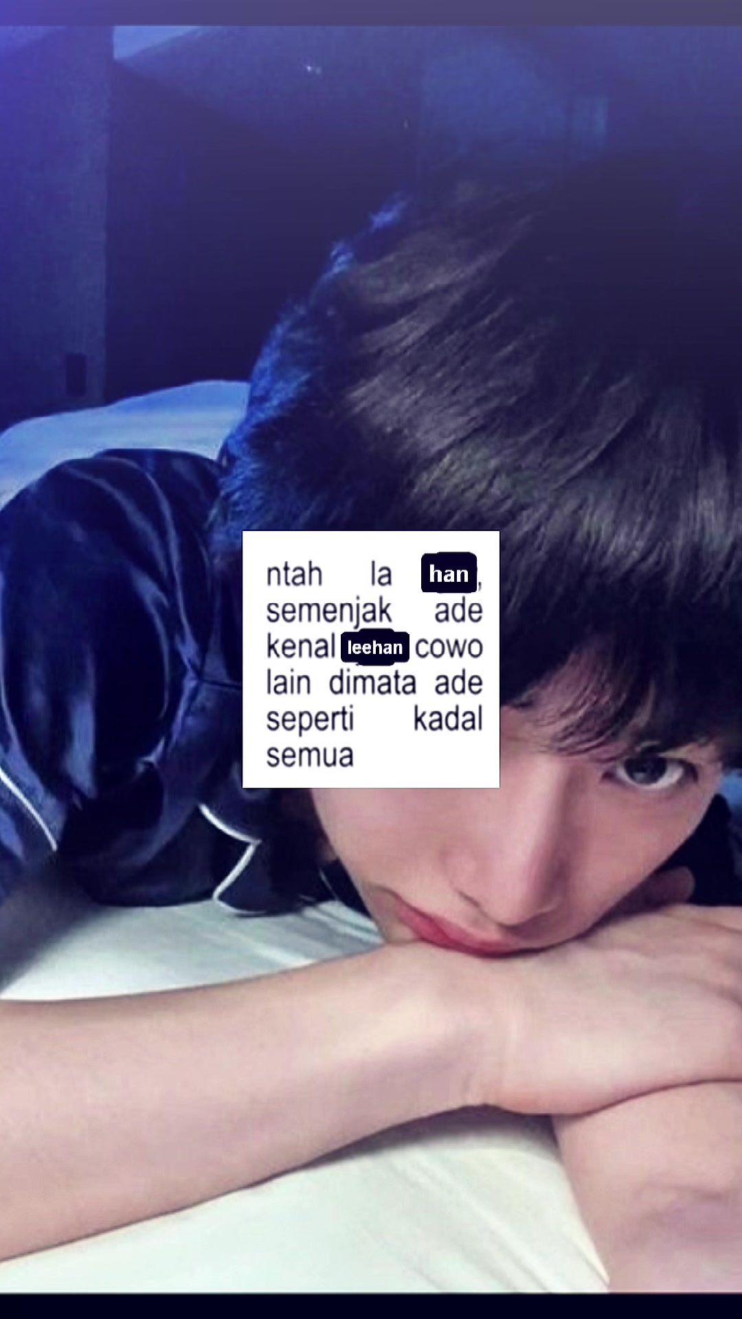 @Cat