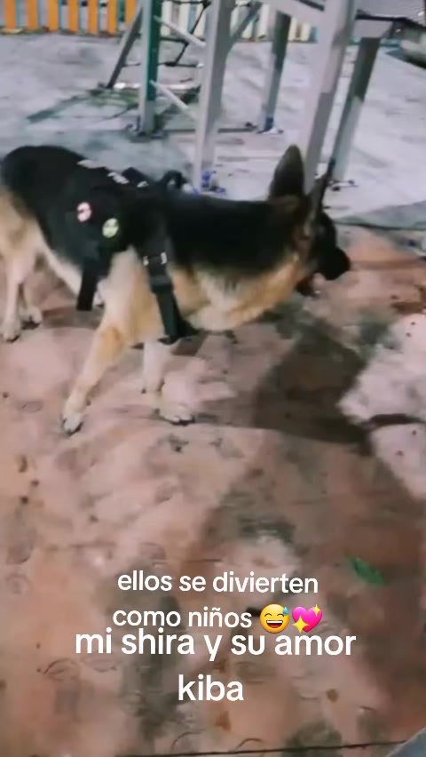@Adrian Angarita