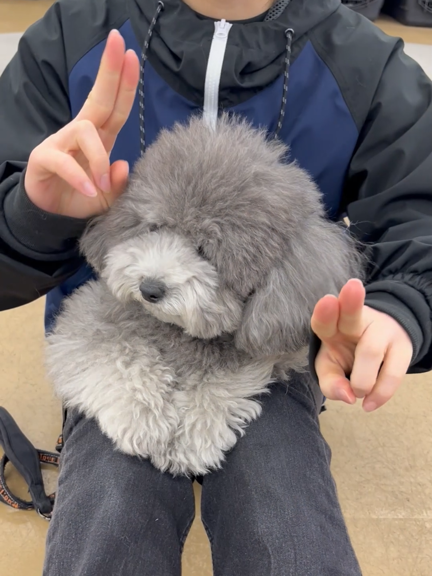 @TCA東京ECO動物海洋専門学校