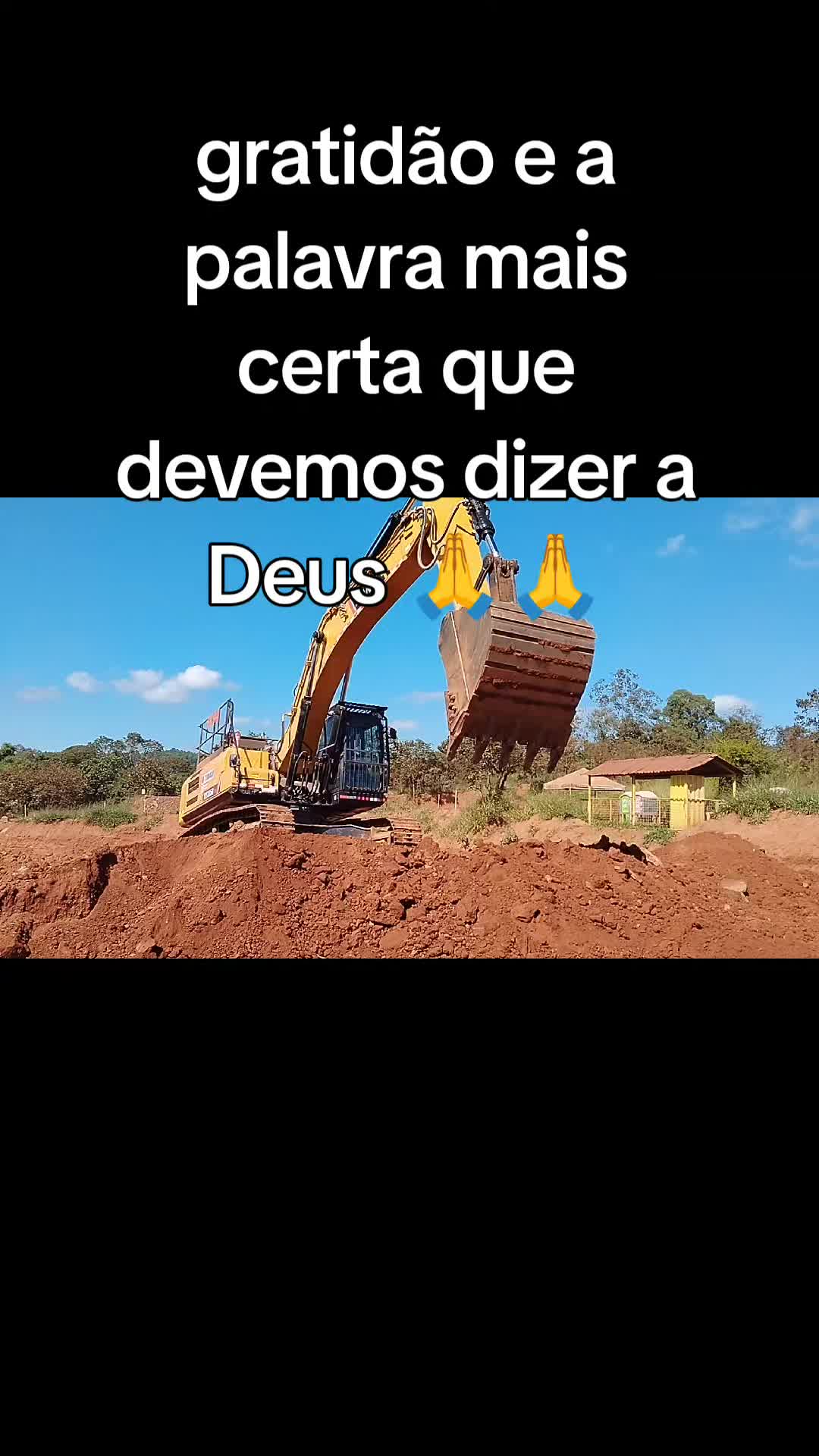 @franciscofarias278
