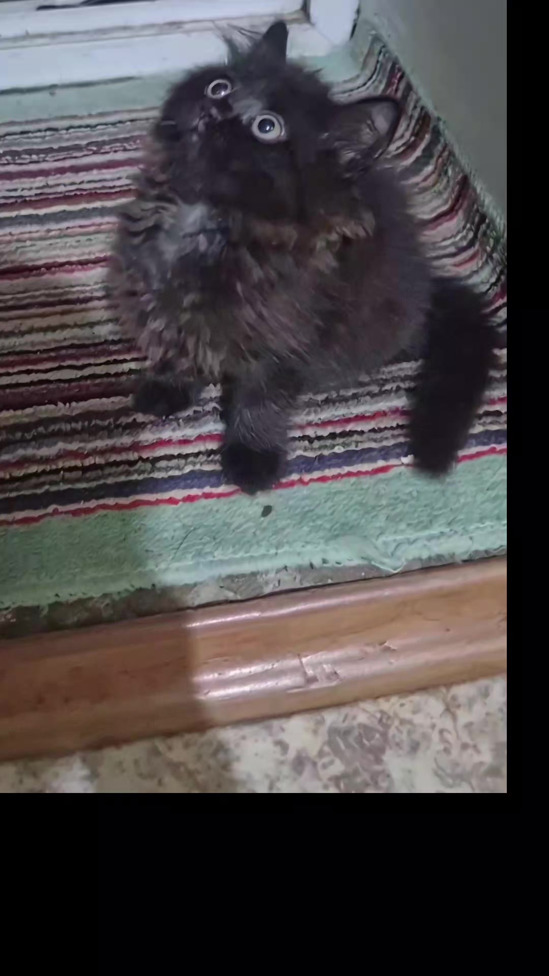 @Алия Джумагатова