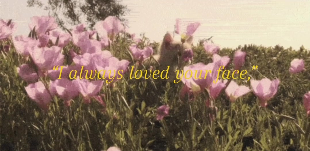 @rewindeddreams