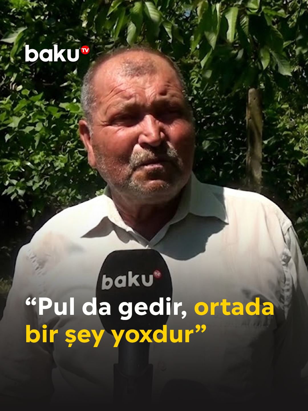 @baku.tv
