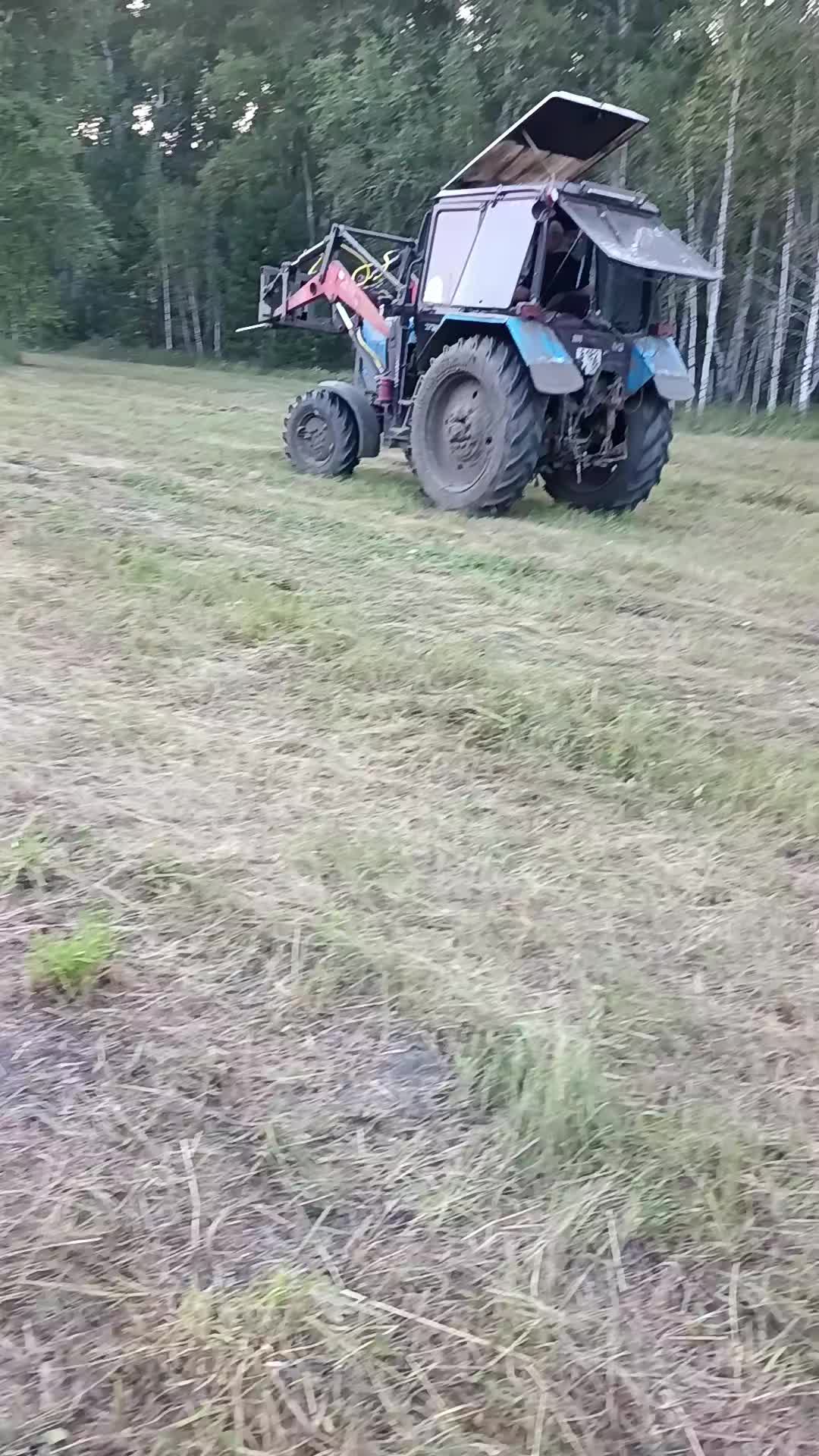 @55 Николайхрамов✌️✌️