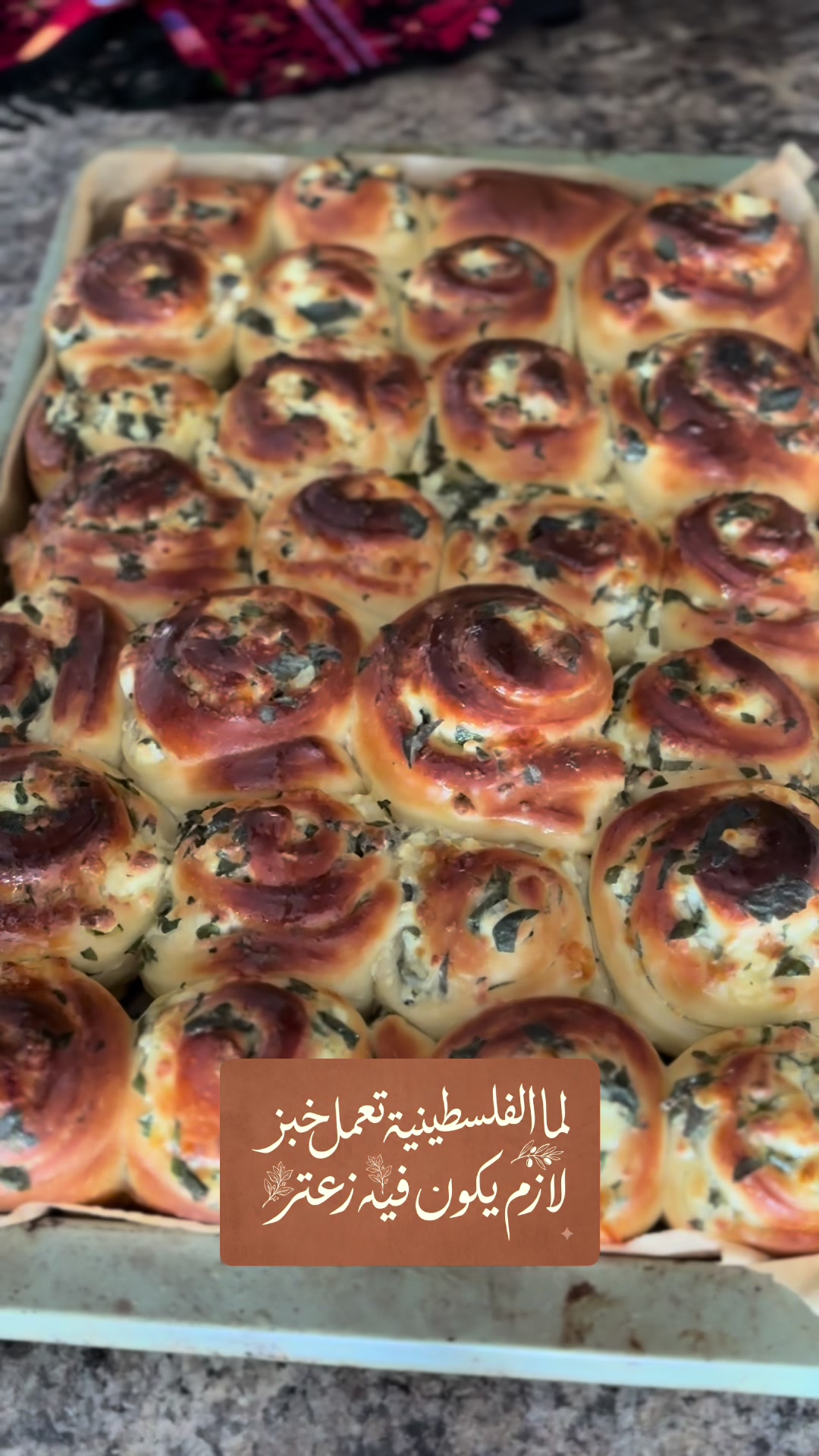 @Ruba Jaradat3