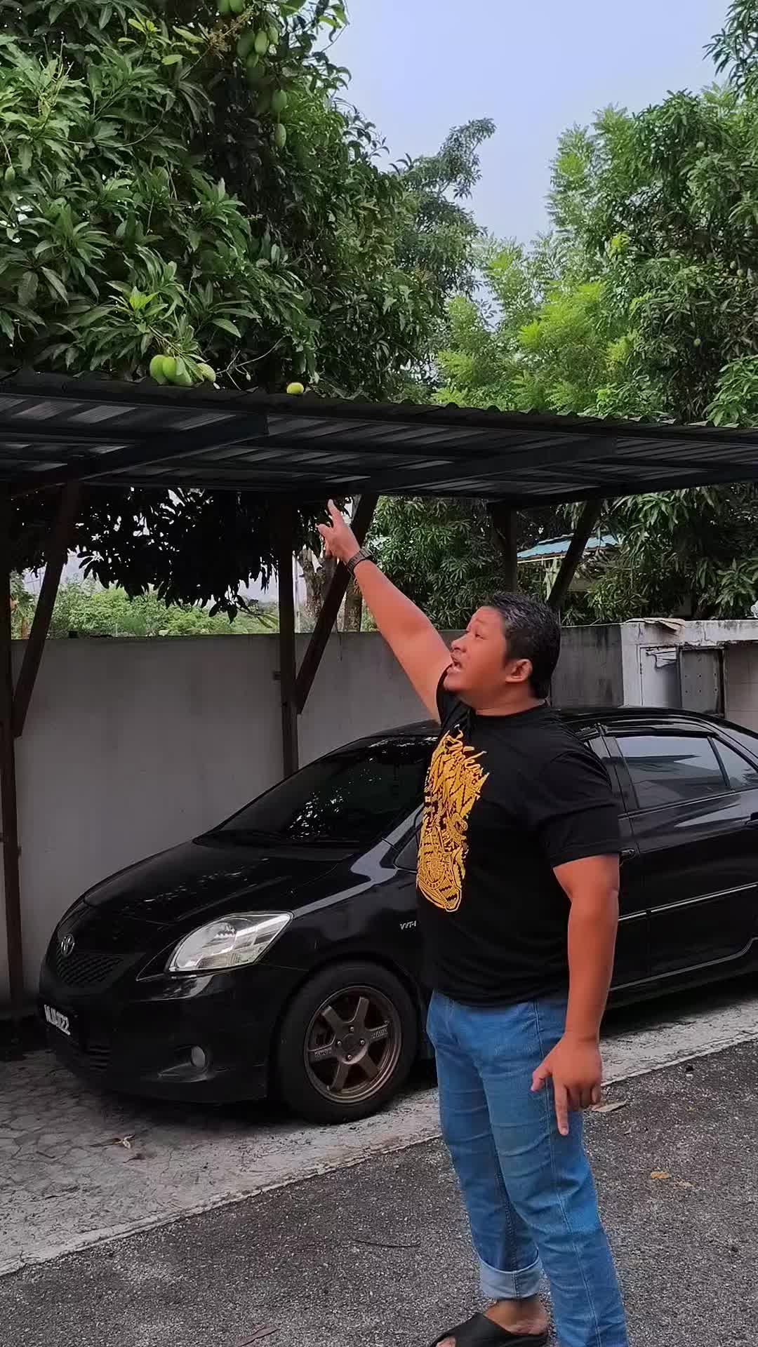 @ALIF MUSA
