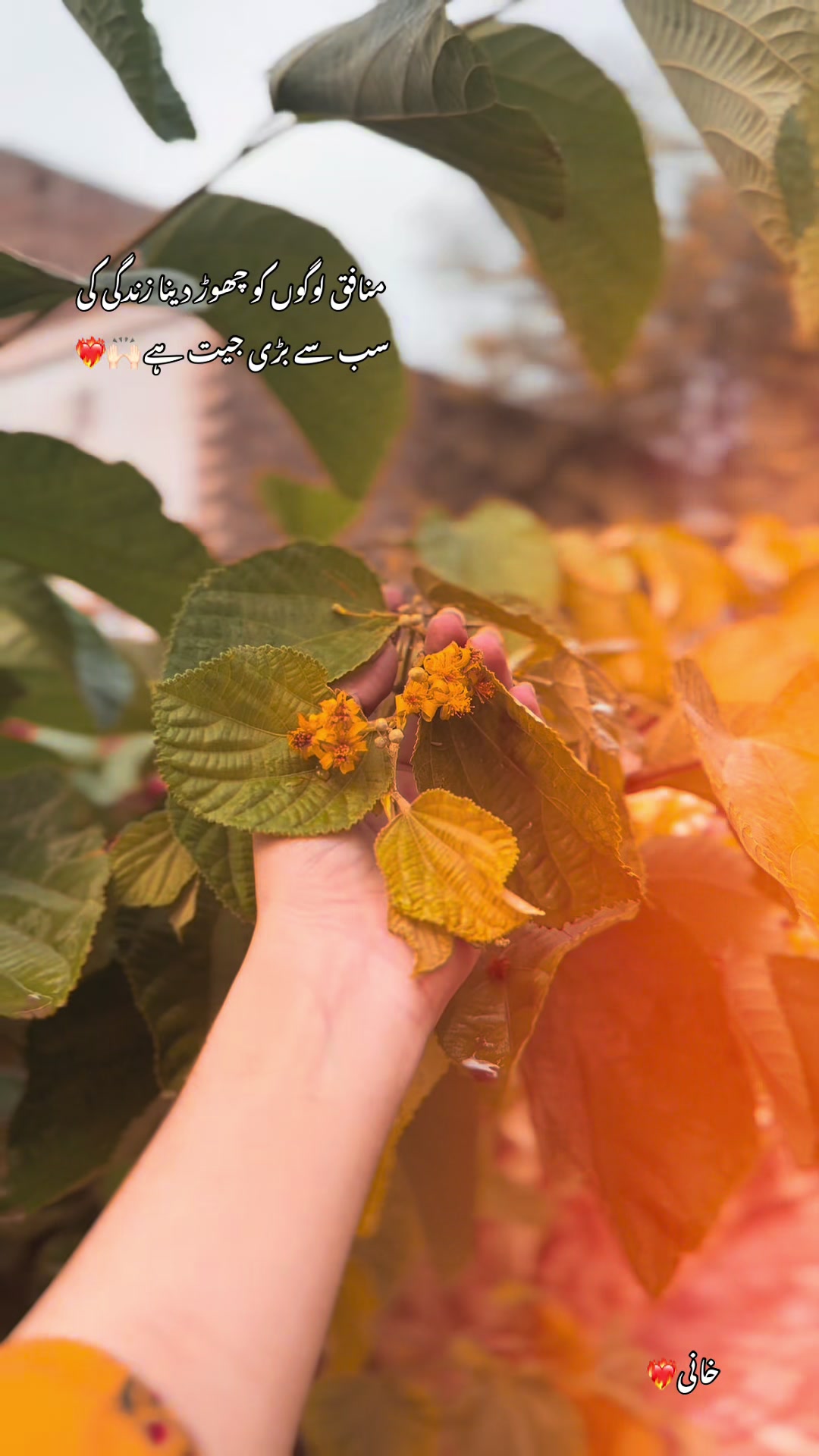 @خانی❤️🔥