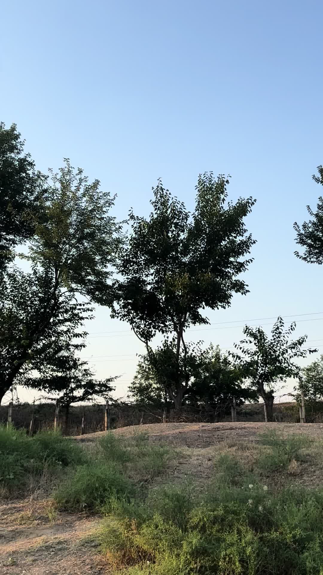 @Zaman zamanov