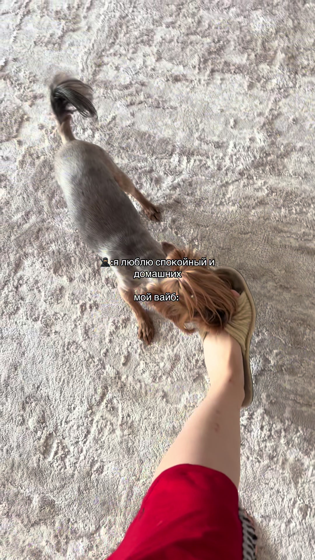 @Собака Евик🐾