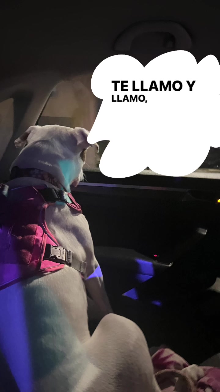@val🩶