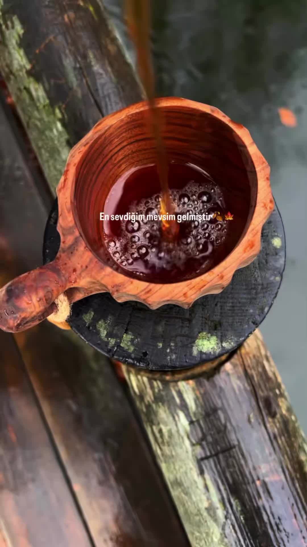 @🎭🎤ŞAH FAN🤴