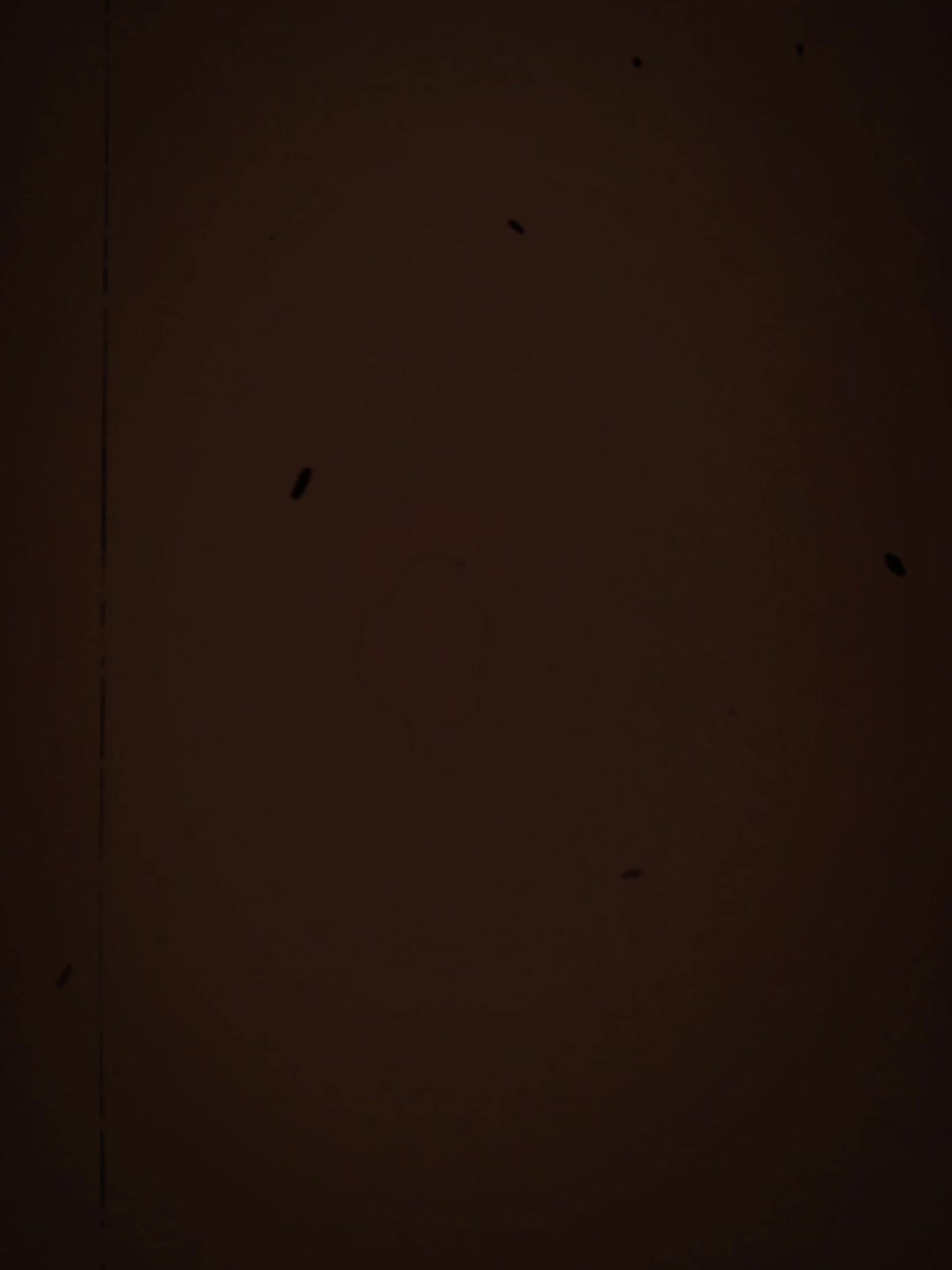 @𝓜𝓸𝓷𝓲 𝓖