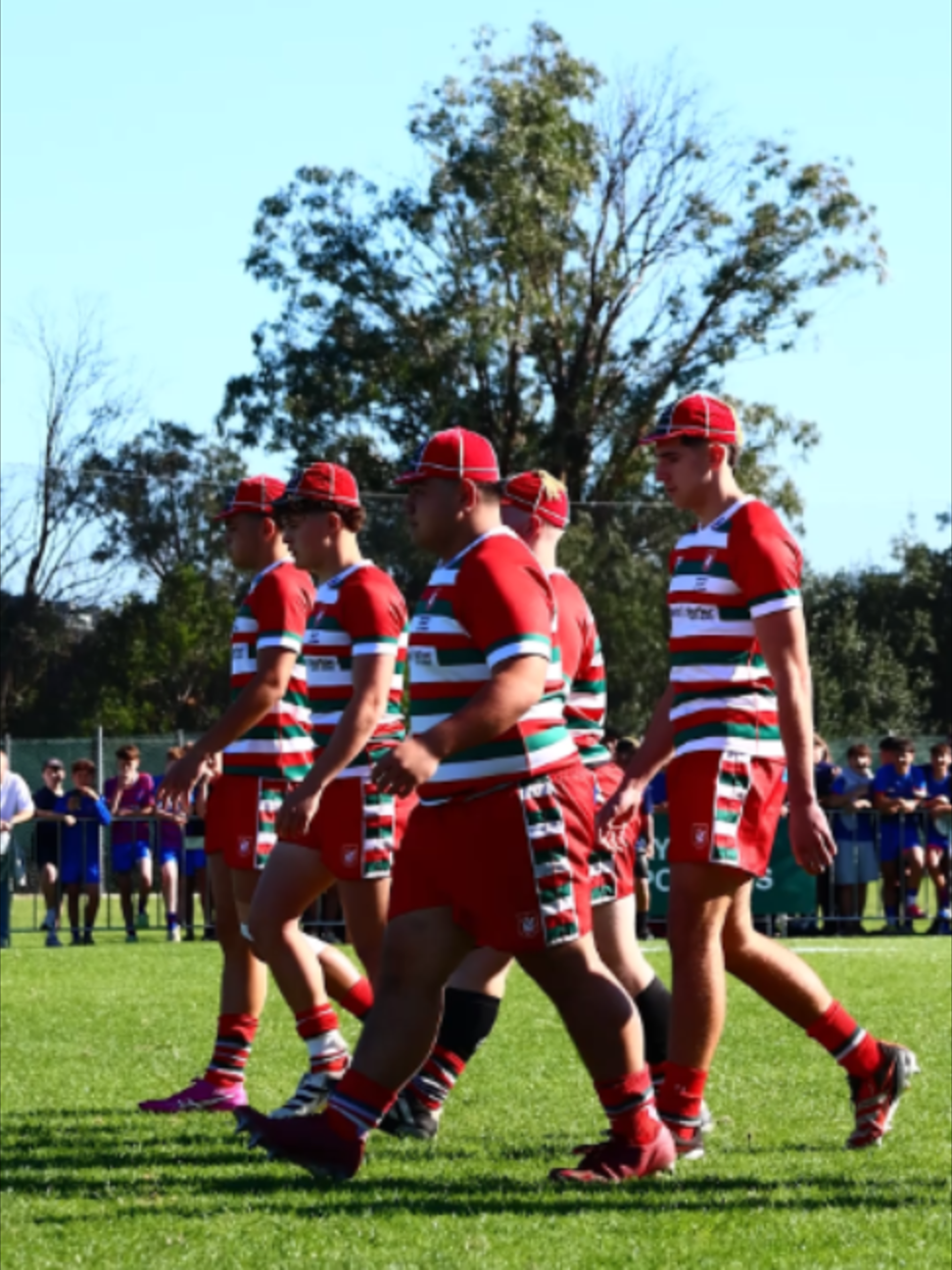 @North Harbour Rugby Union