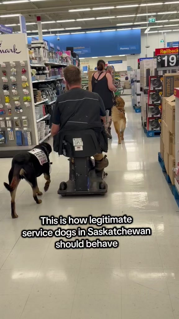 @Kairo's K9s Training 🇨🇦