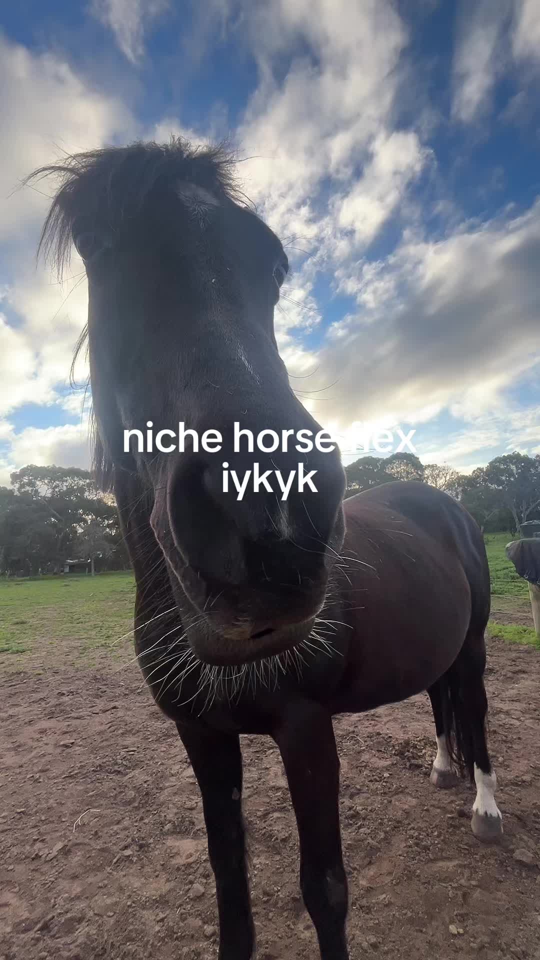 @soph