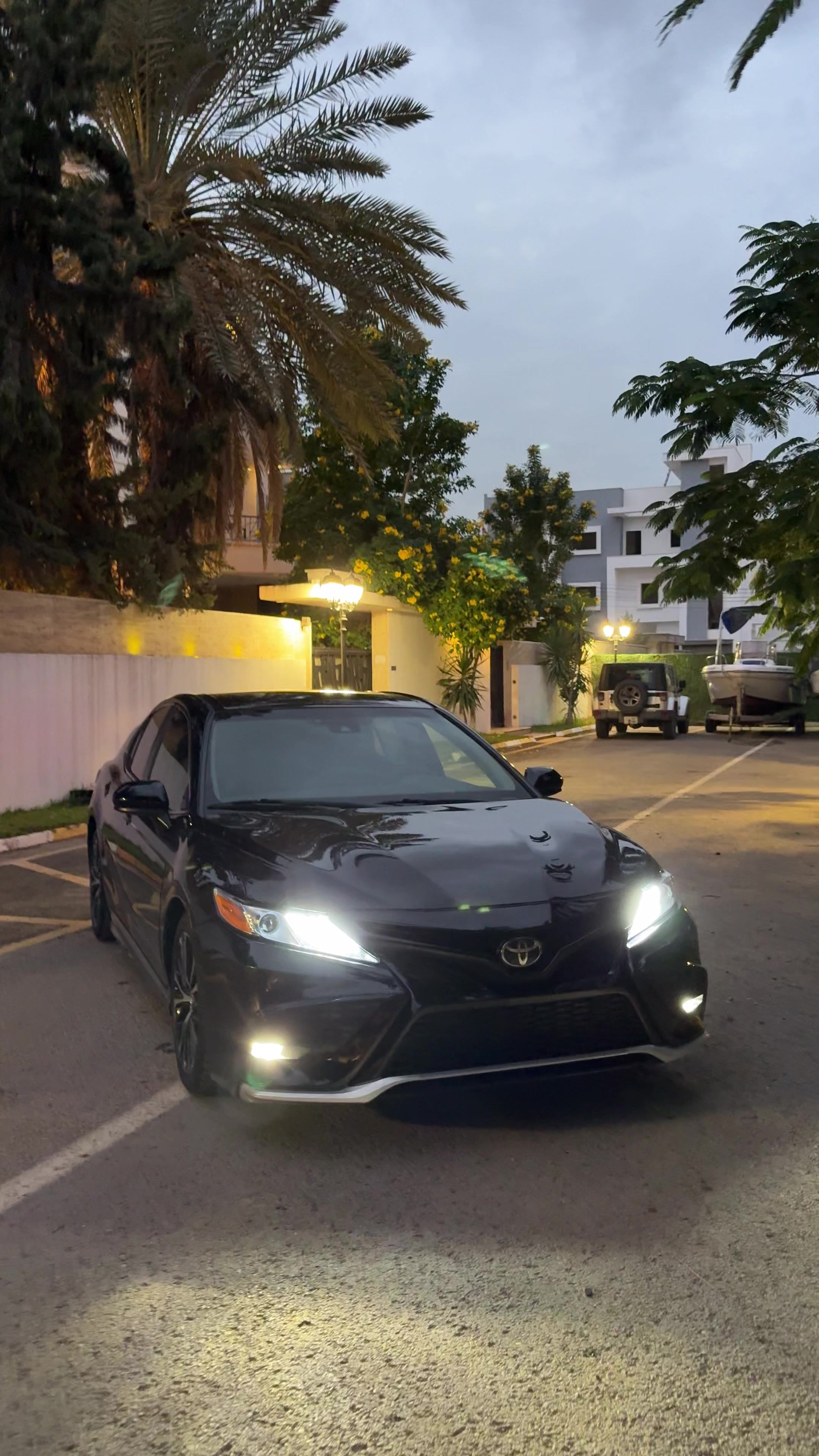 @هاني القيلوشي