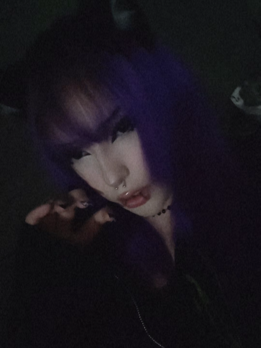 @kitty≽(•⩊ •マ≼