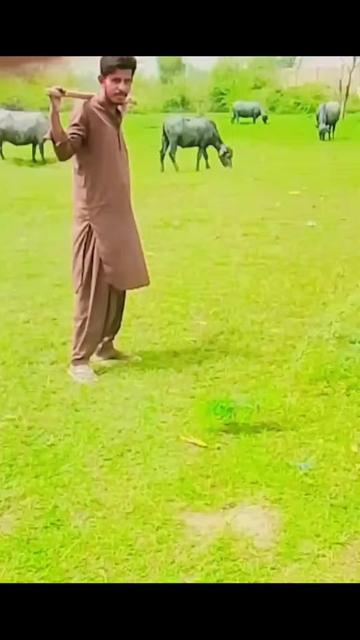 @سنڌي بادشاه 🚩