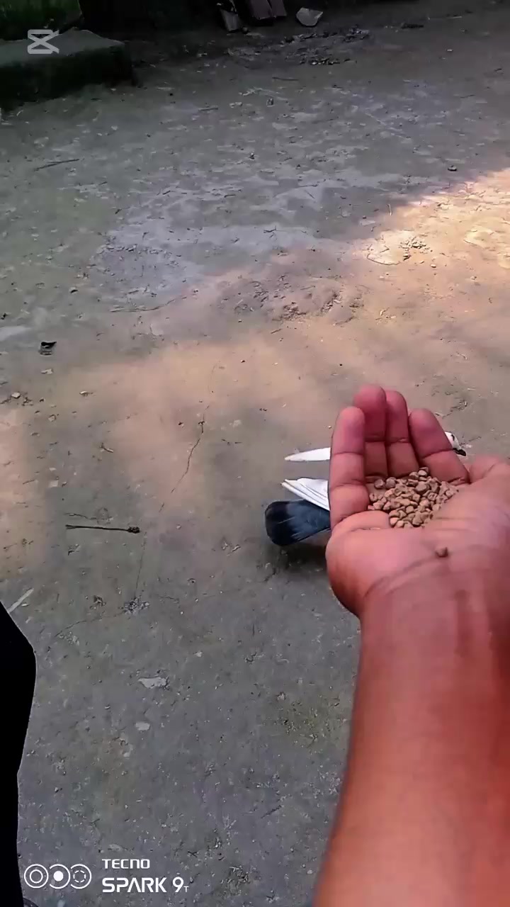 @꧁༒ꪖꫝ𝘴ꪖꪀ ꪖꫝꪑꫀᦔ༒꧂