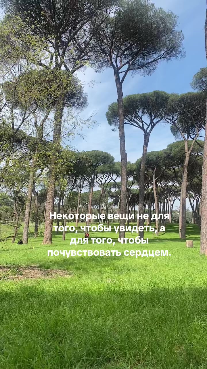 @Елена Полещук