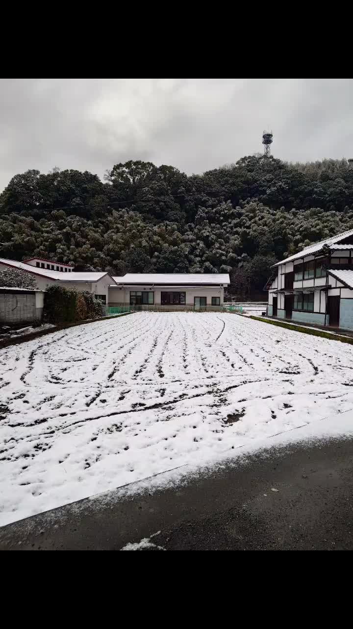 @ミルクミント
