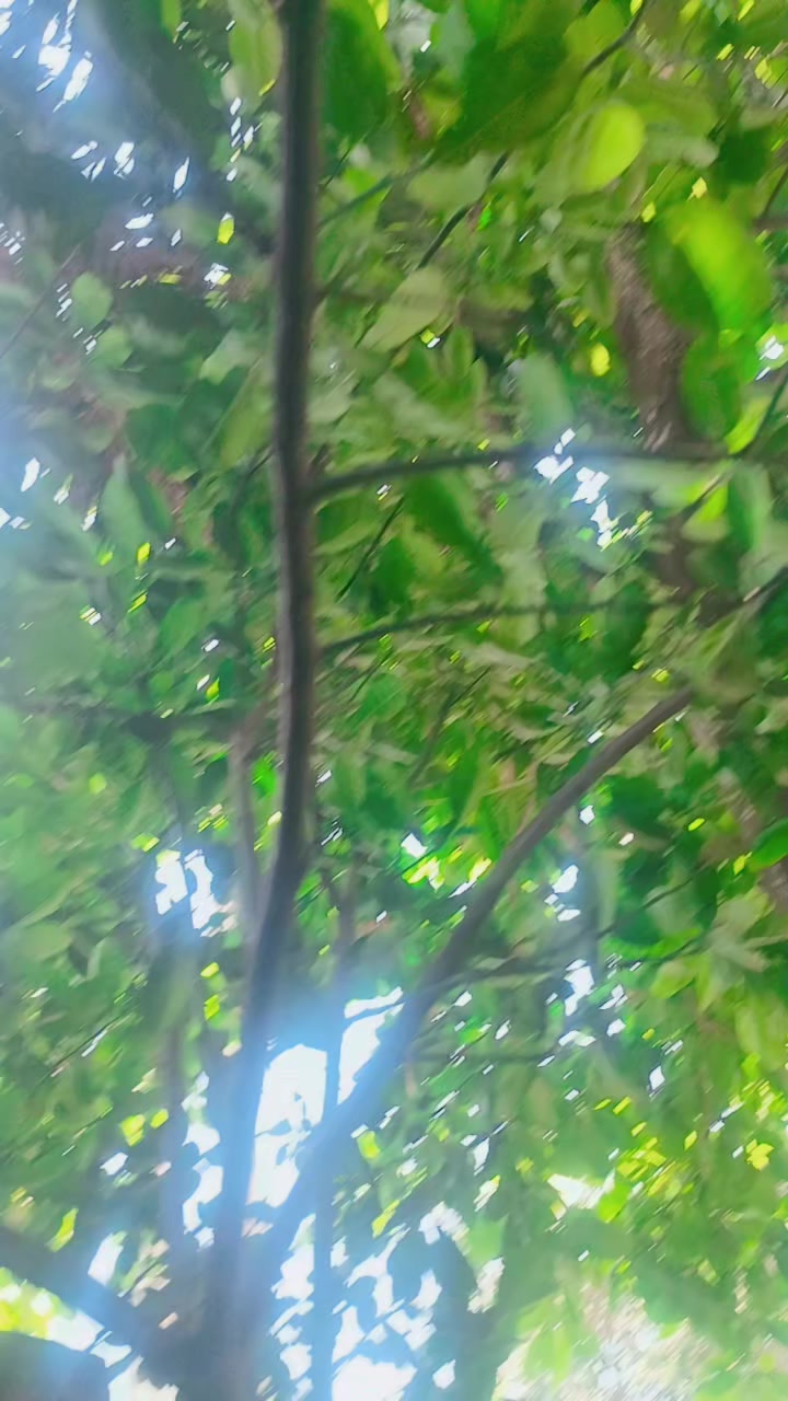 @ময়মনসিংহের কালো পরী❤️❤️❤️❤️❤️