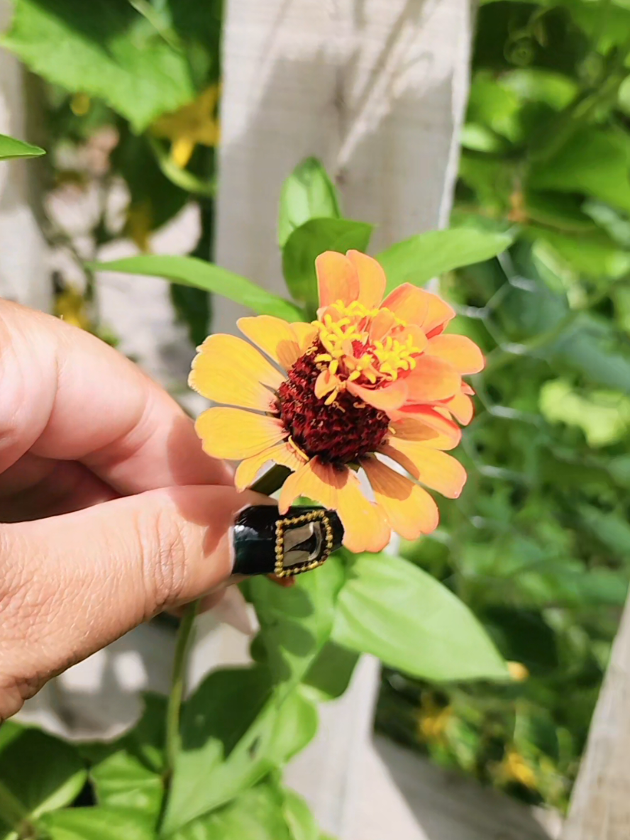 @Alicia ✨️🌱🐛