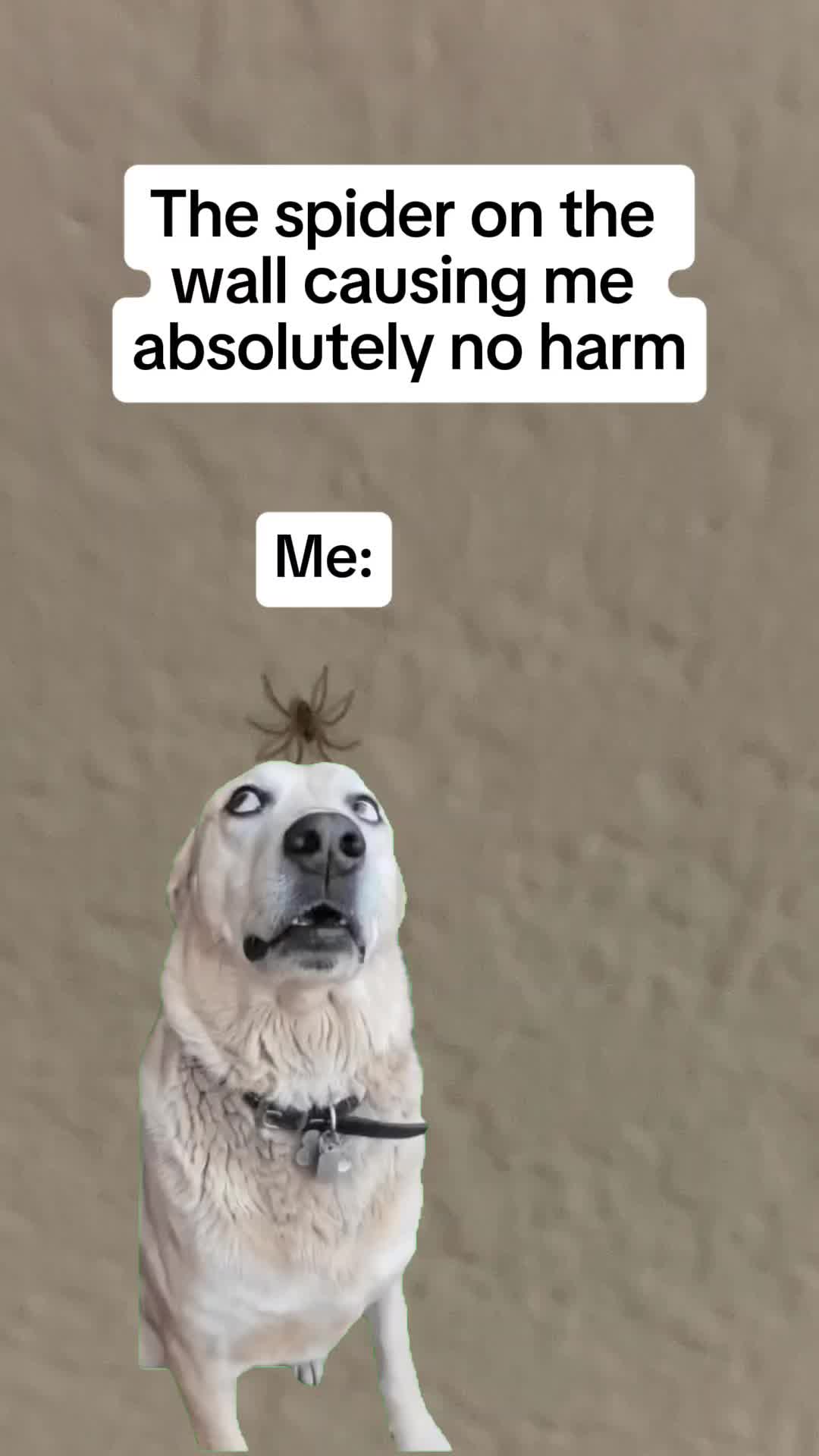 @YoUrMoM