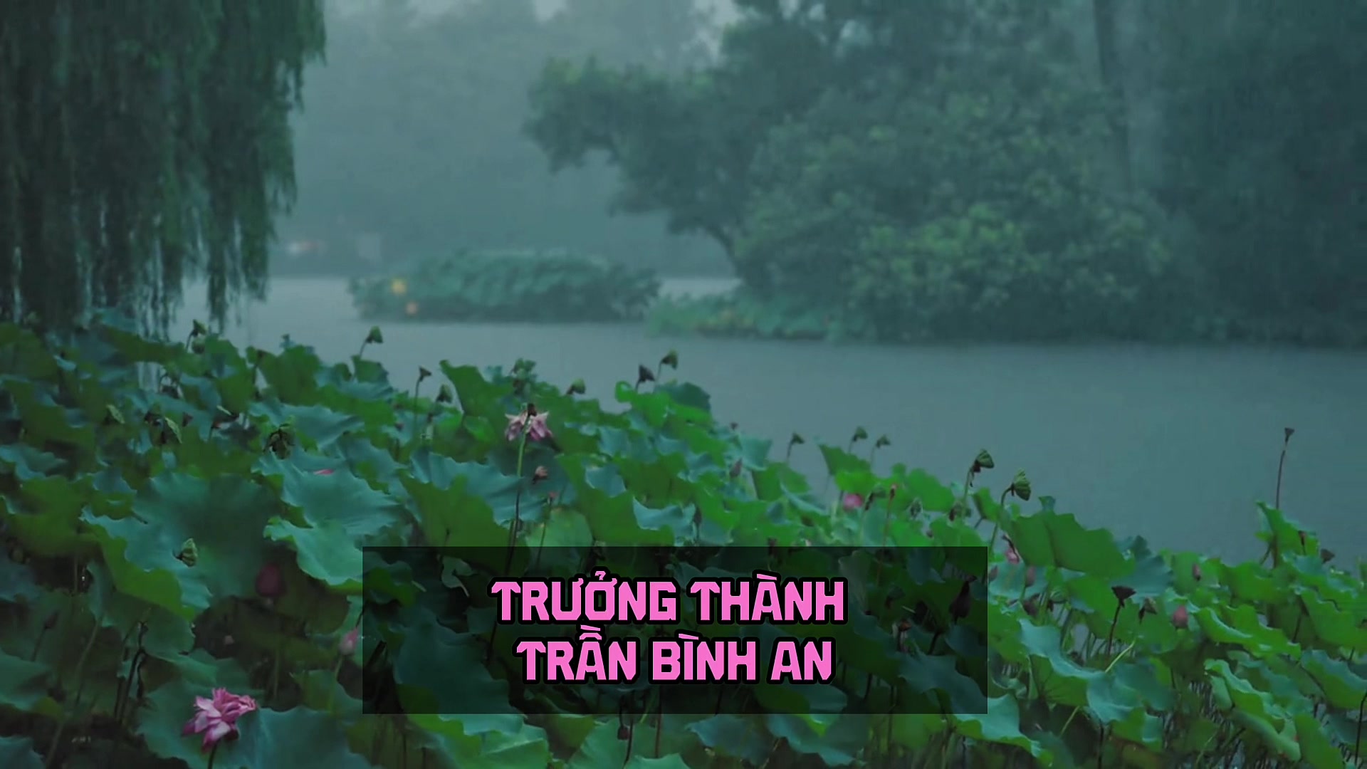 @Ninh Cát