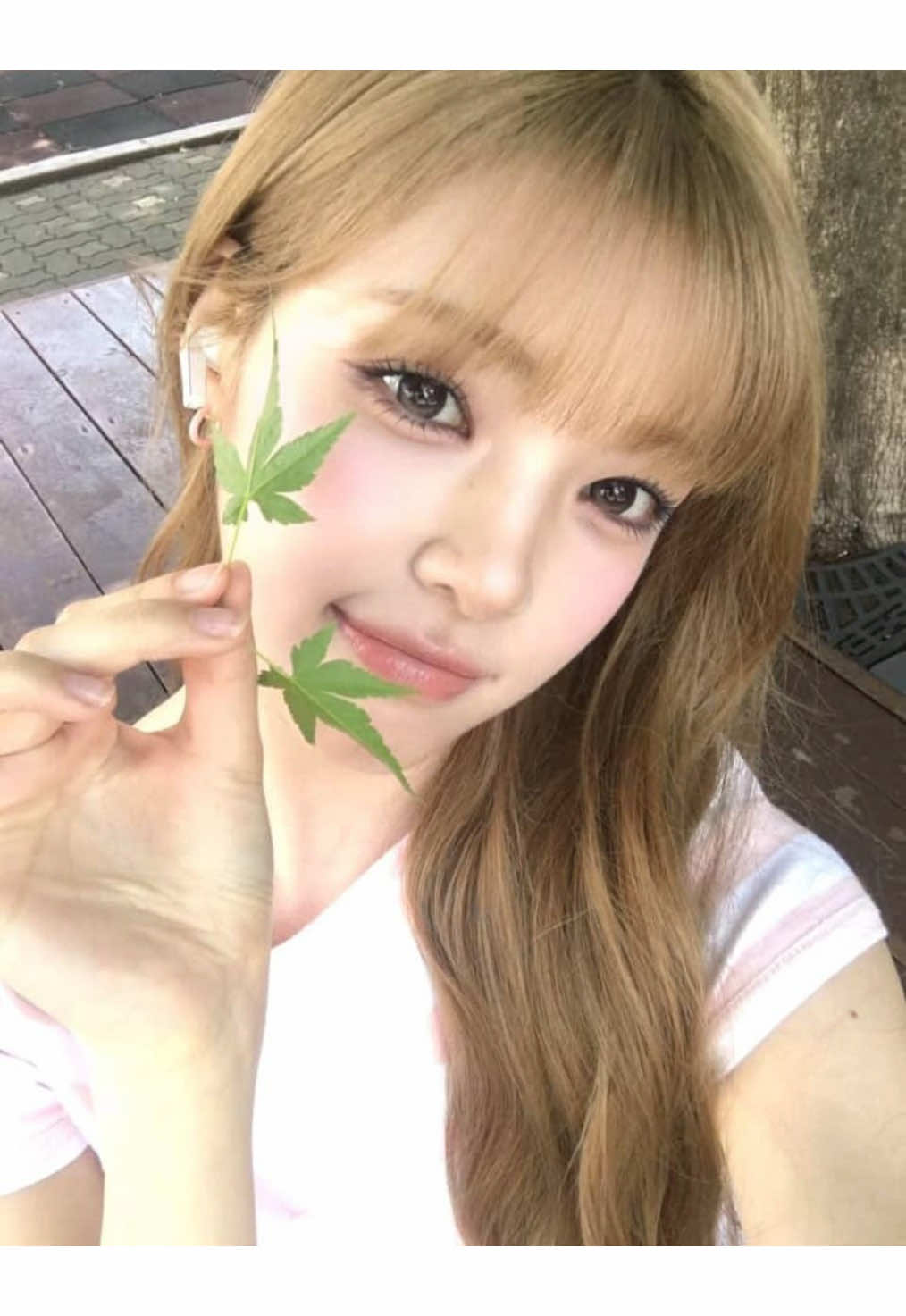 @ๅฐ่ฑ๐ก๐จ๐ณ