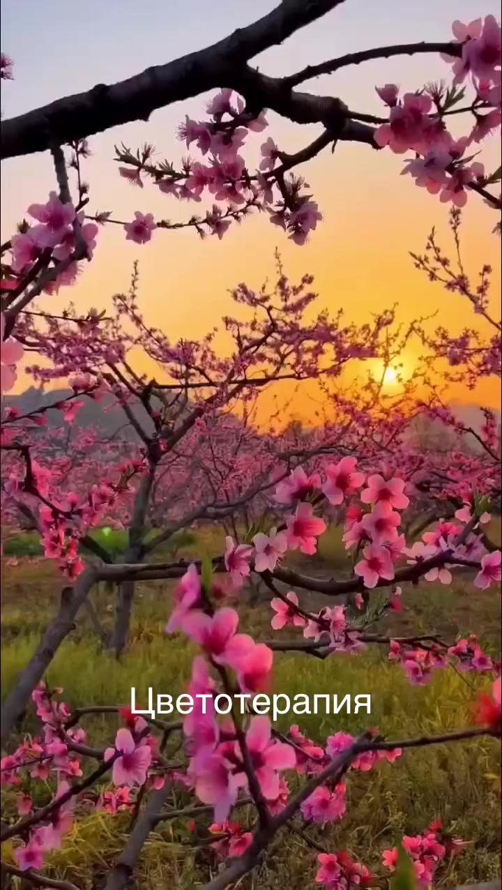 @EPraktika