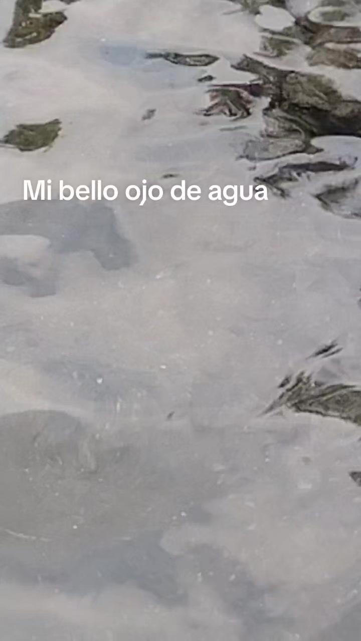 @Aurora Lopez