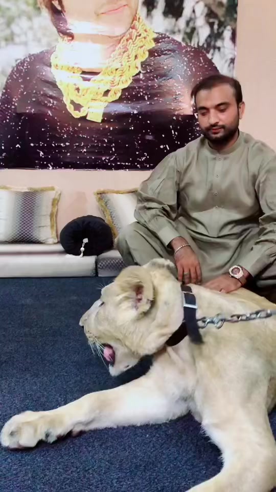 @Syed Ali Raza Sherazi