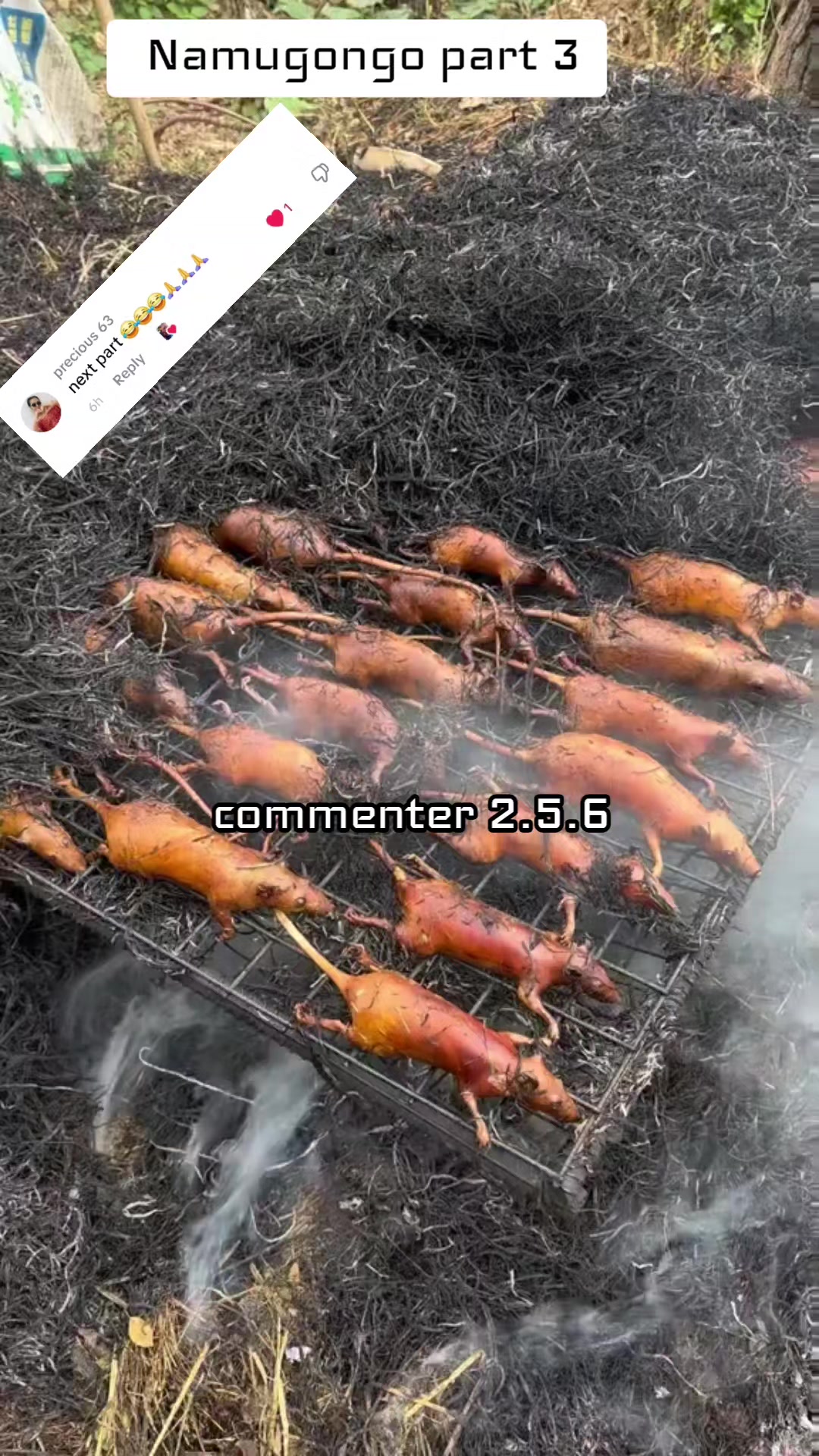 @commenter 256