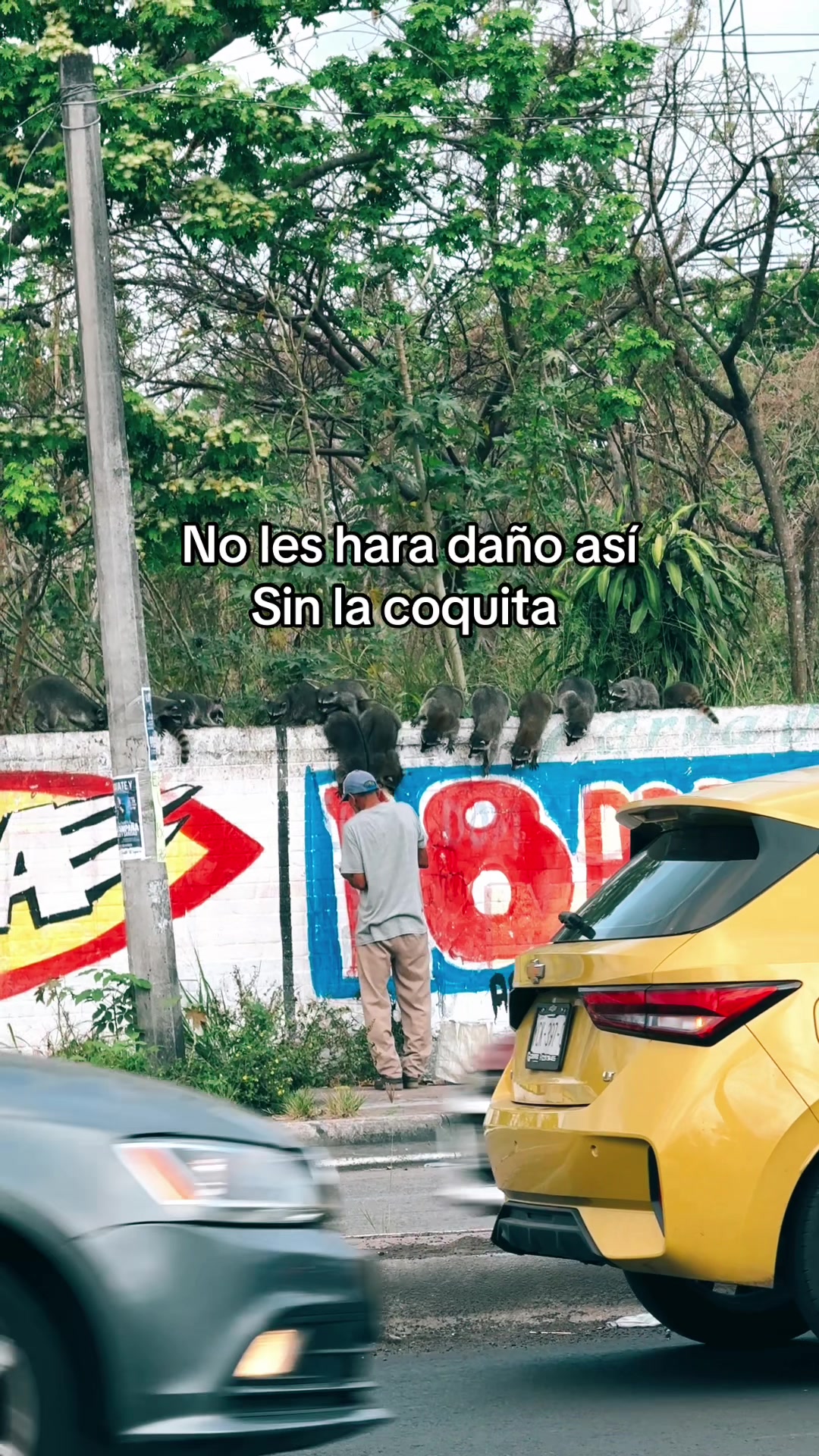 @Jenn Jiménez ❤️✨