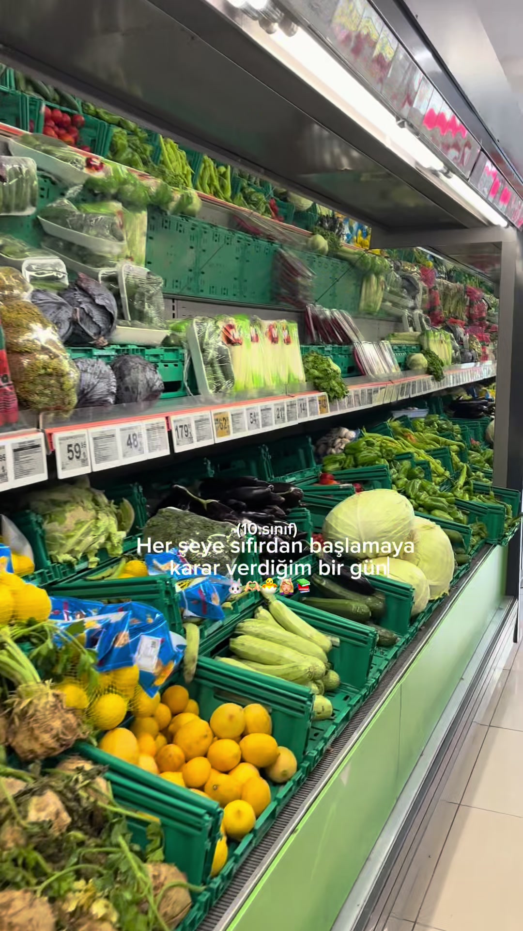 @elifsugra_bal