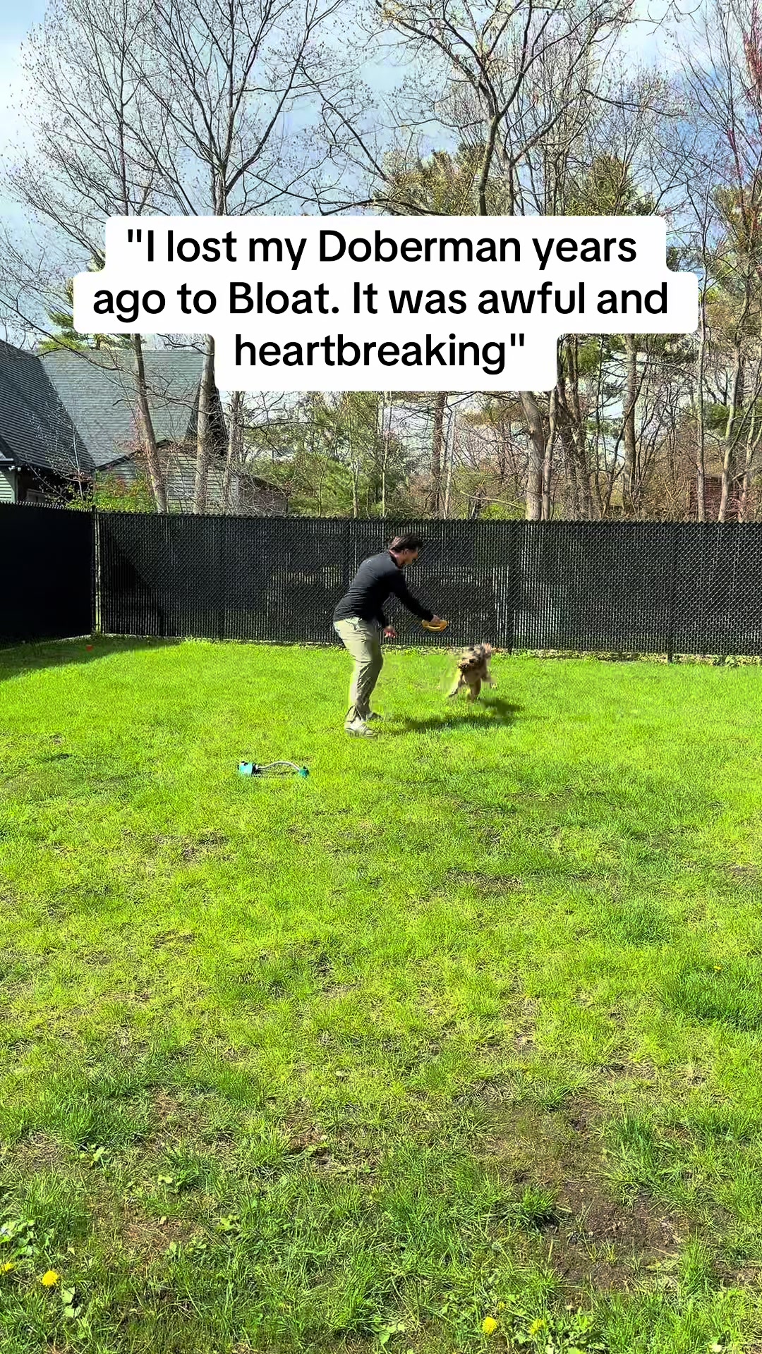 @Dogs Made Simple