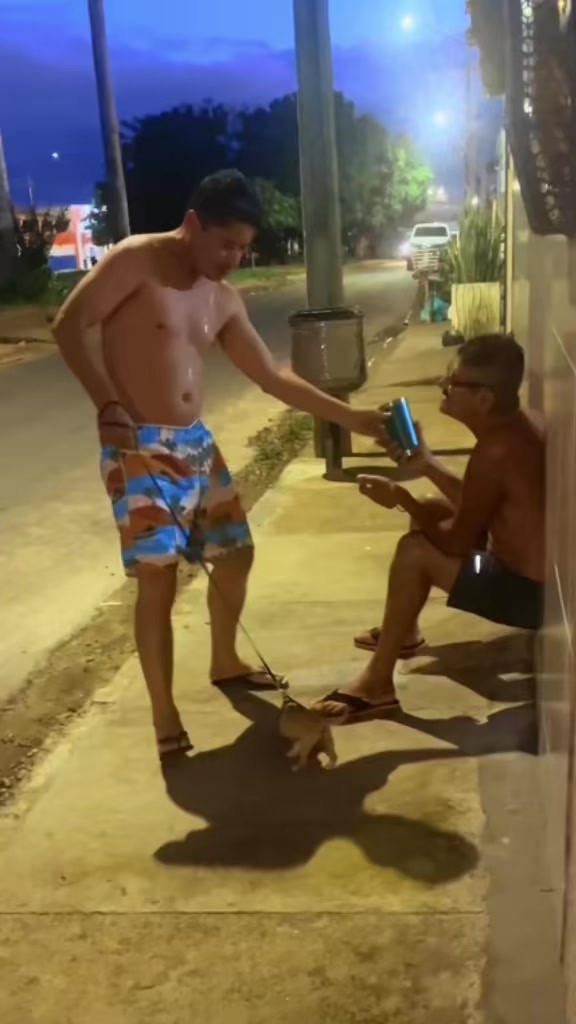 @Zé bebinho da mamãe oficial