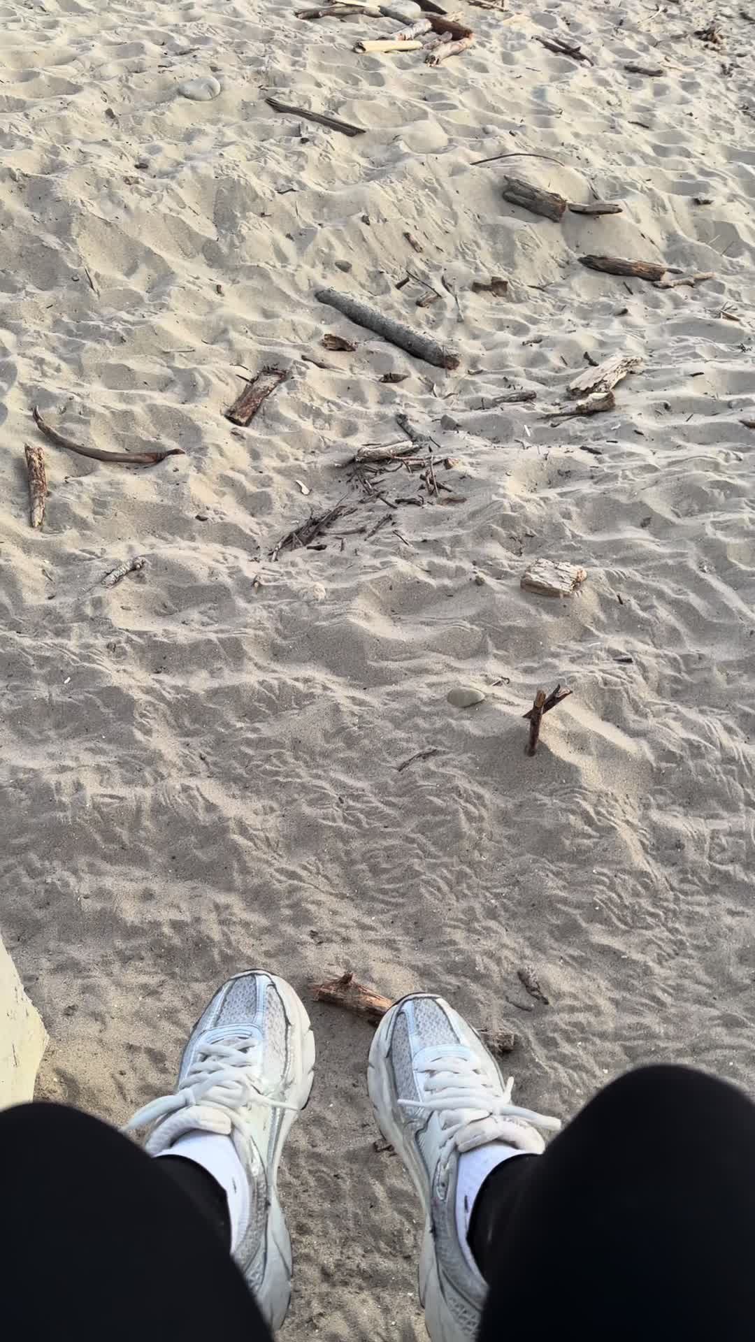 @camilaperez2311