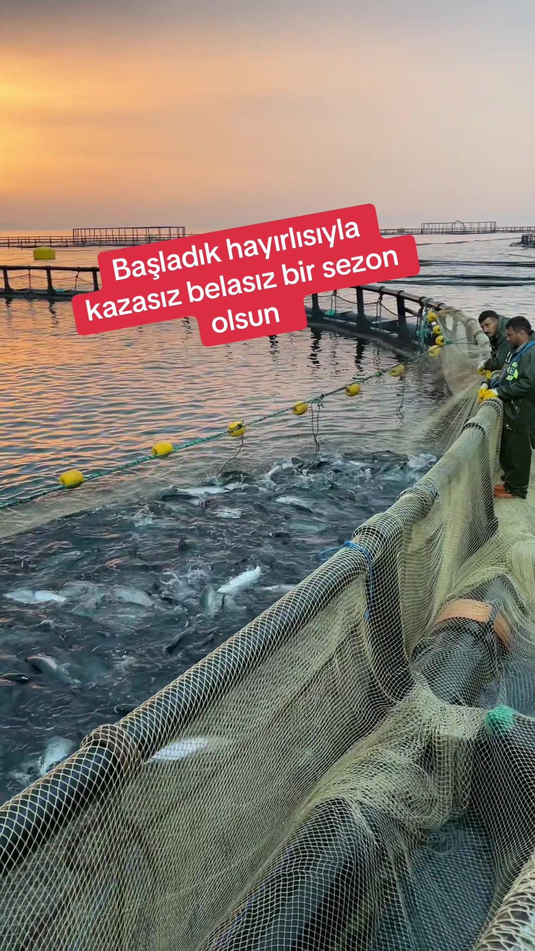 @Samsunlu Hüseyin