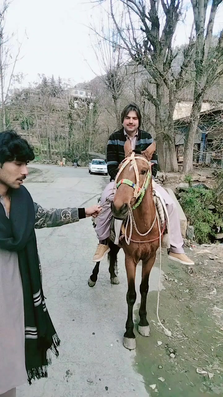 @shawalkhan
