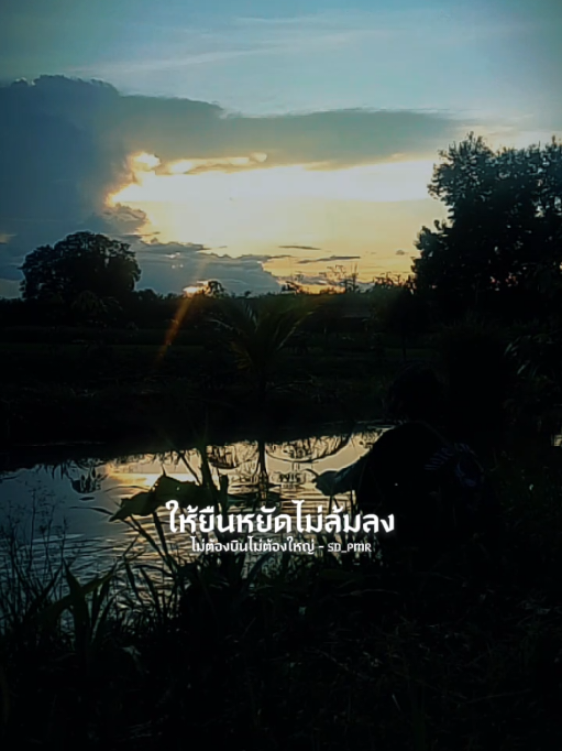 @wong-win win