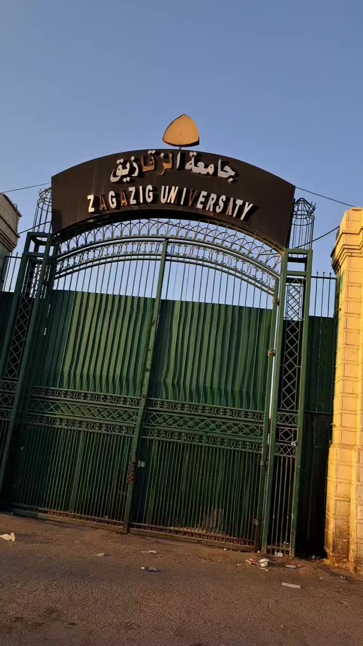 @الفنانة N