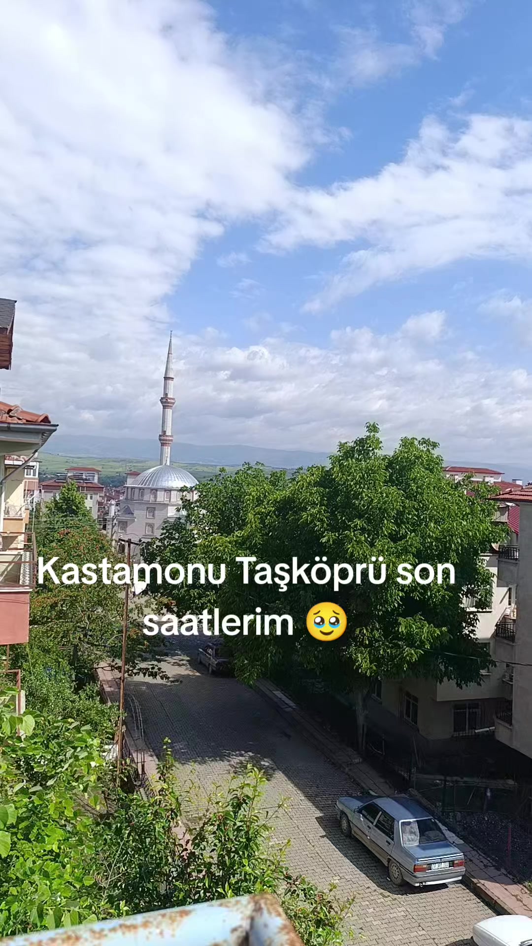 @papatya 🌼